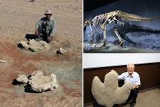 Scientists discovered a massive dinosaur footprint in Mongolia that belonged to one of the largest two-legged animals ever to roam the Earth.