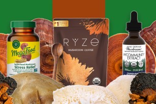 A group of mushrooms and supplements